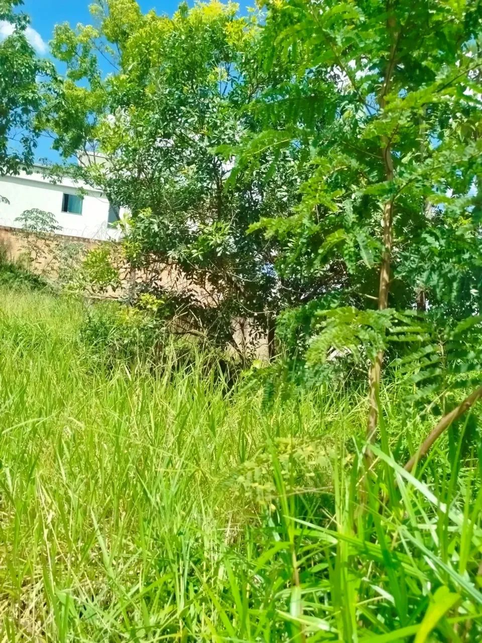 Lote no Masterville Sarzedo - Foto 2