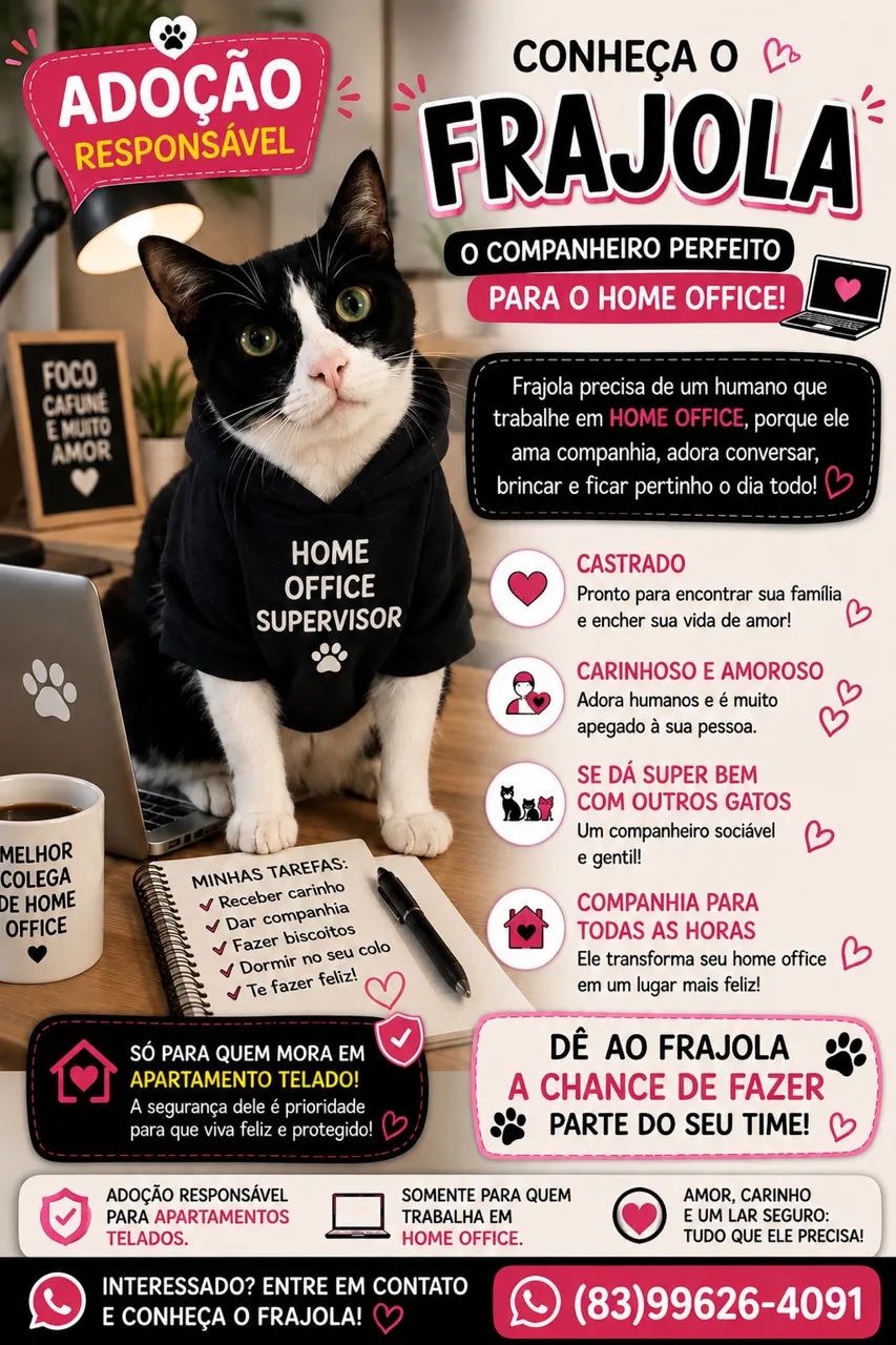Doação de Gato