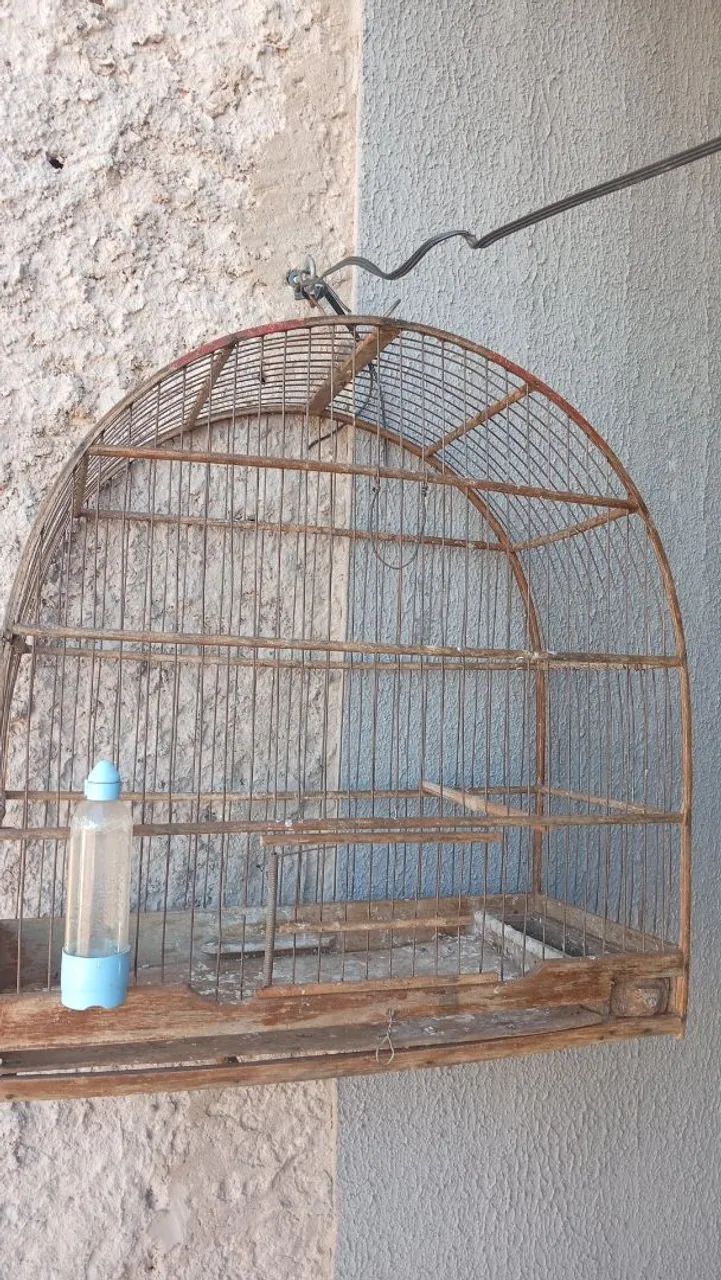 Gaiola 