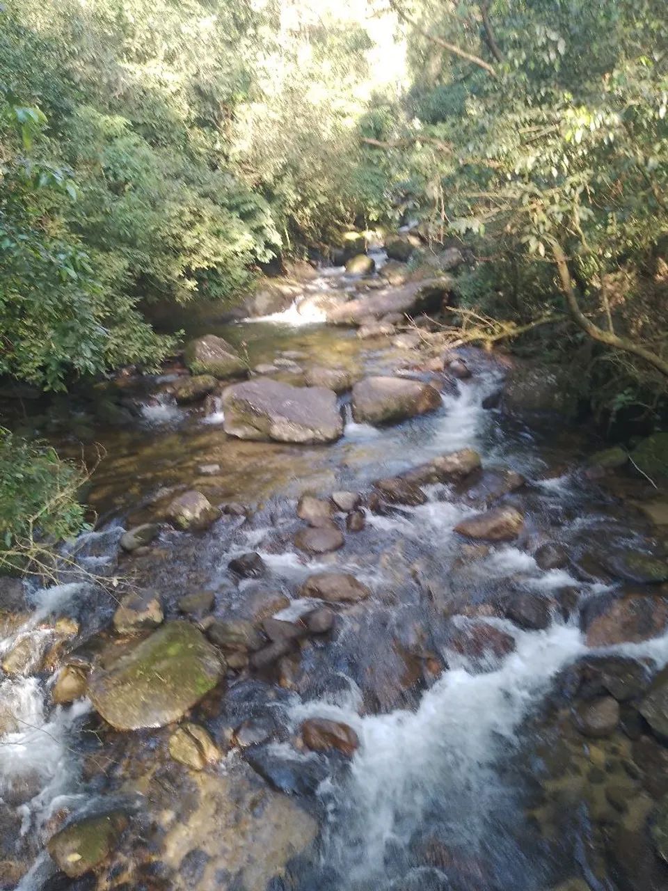 Vende se sitio - Foto 5