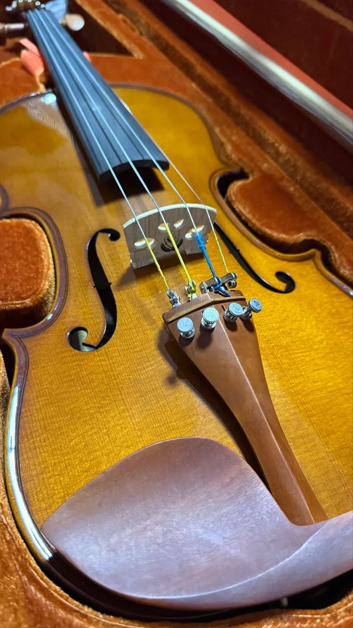 Violino Eagle VE 441 4/4 - Foto 5