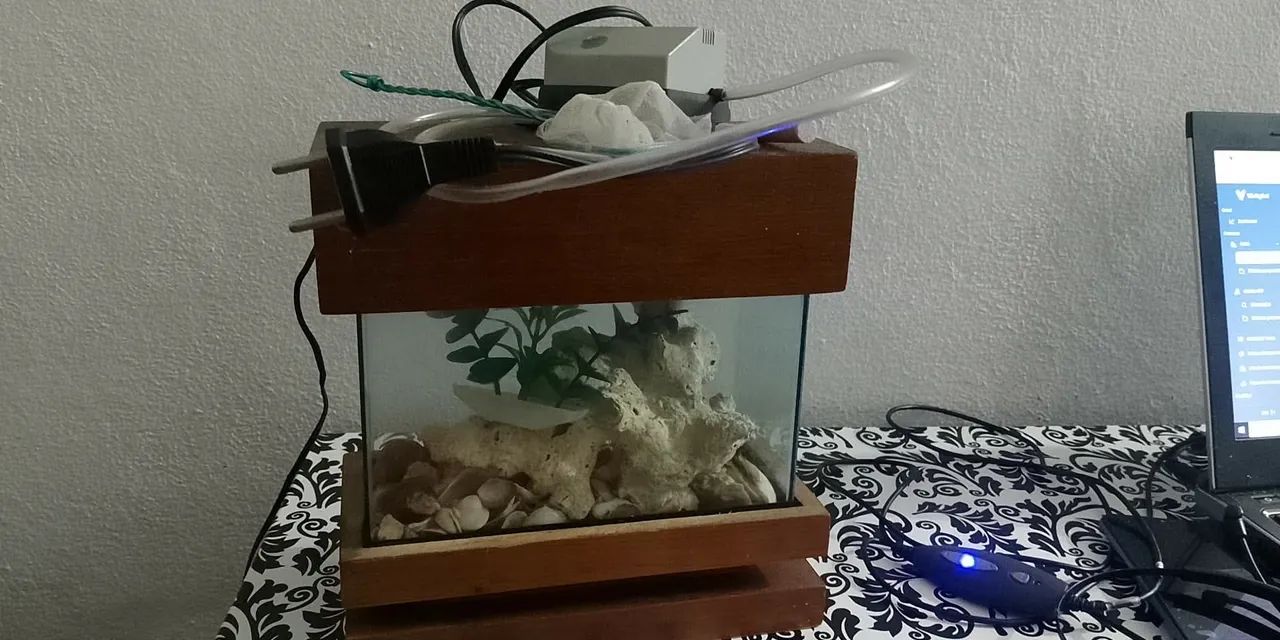 Mini aquário completo