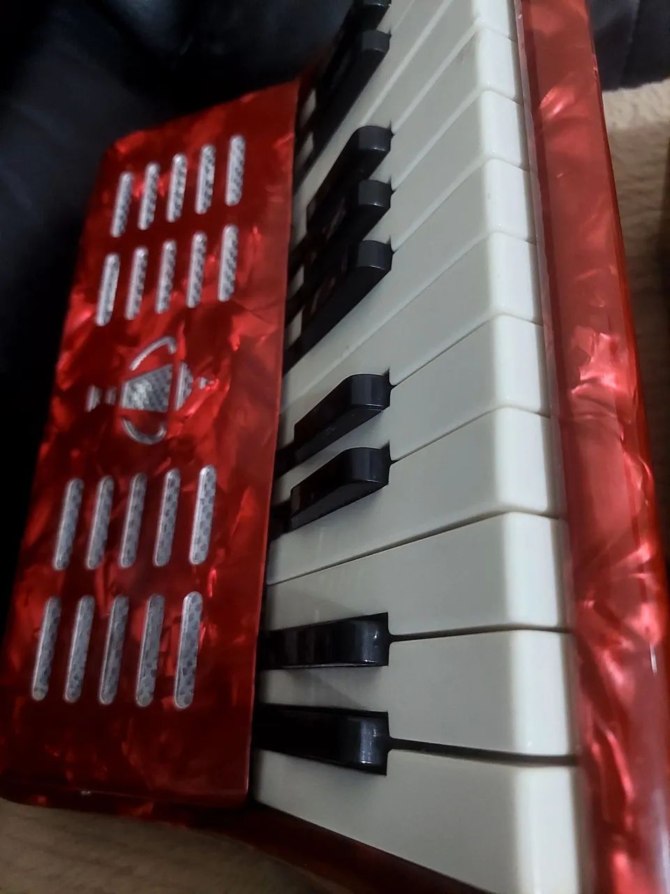 Acordeon 8 baixos Michael  - Foto 4