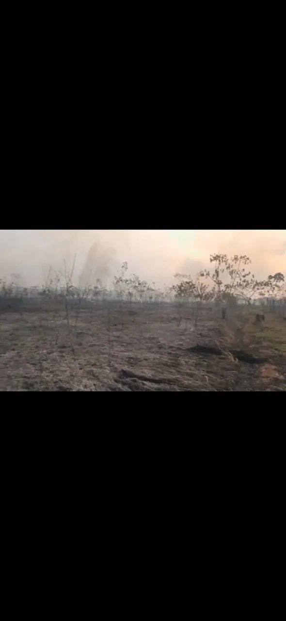 Terra  - Foto 2