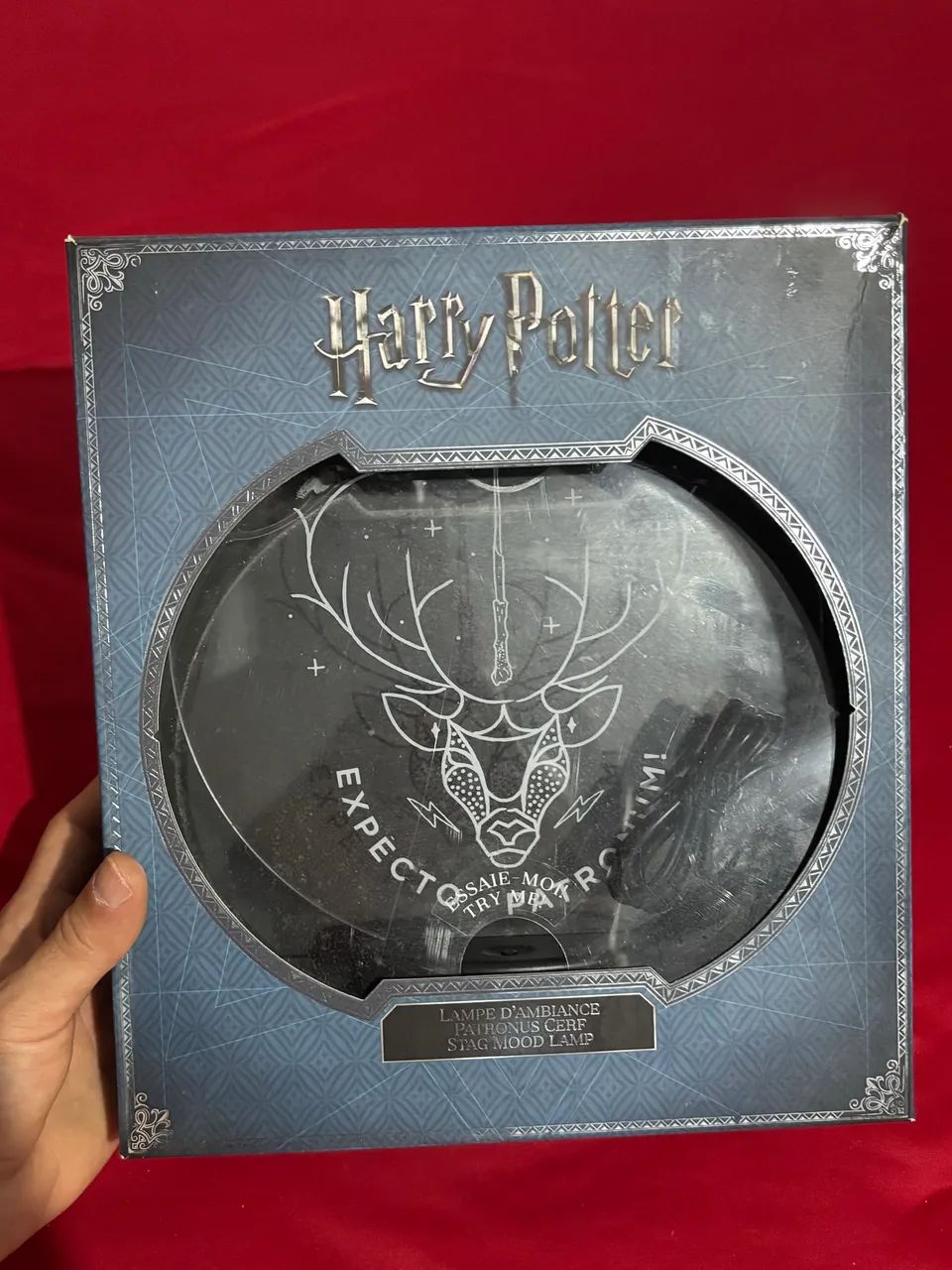 Luminária do Harry Potter 