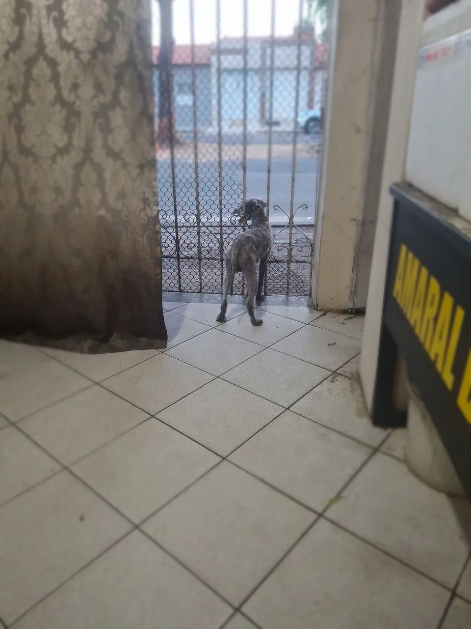 Foto - Aracaju - Dezoito do Forte