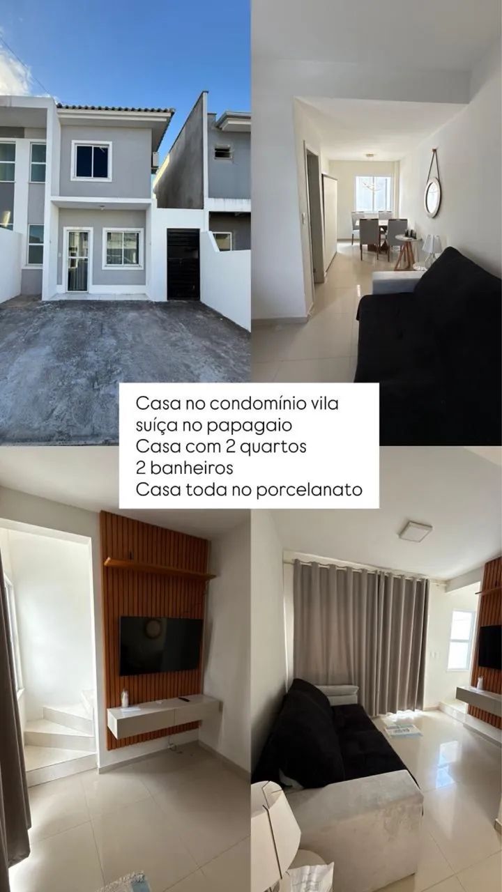 Foto - Feira de Santana - Papagaio