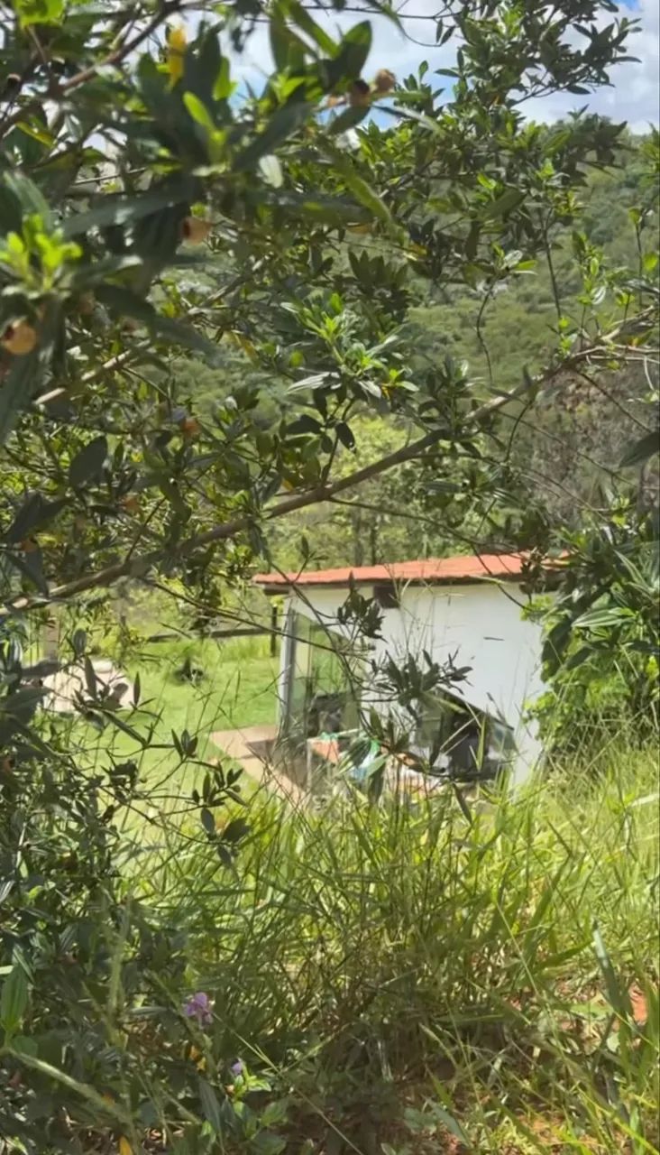 Granja 7.000m2 com vista para Ibitipoca 
