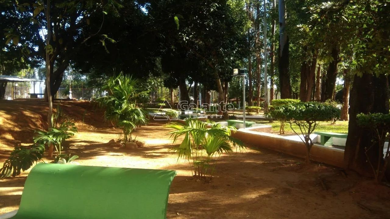 apartamento - Vila Padre Manoel de Nóbrega - Campinas - Foto 4