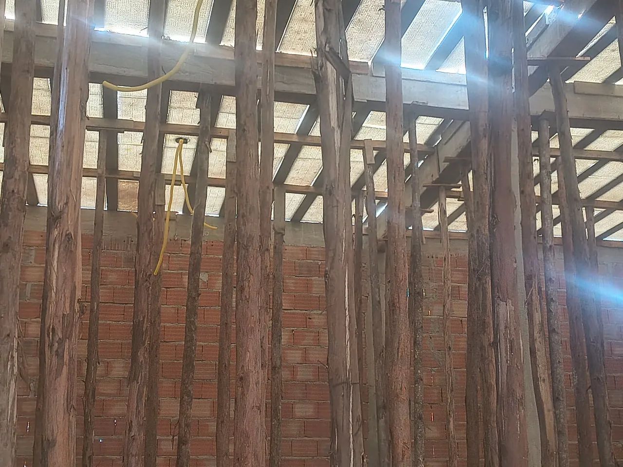 Escoras de eucalipto muito nova - Foto 4