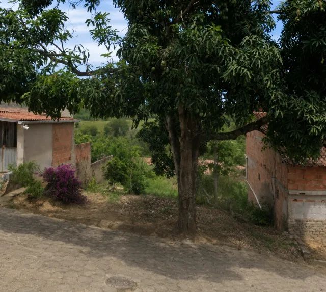Lote urbano - Nova Venécia  - Foto 2