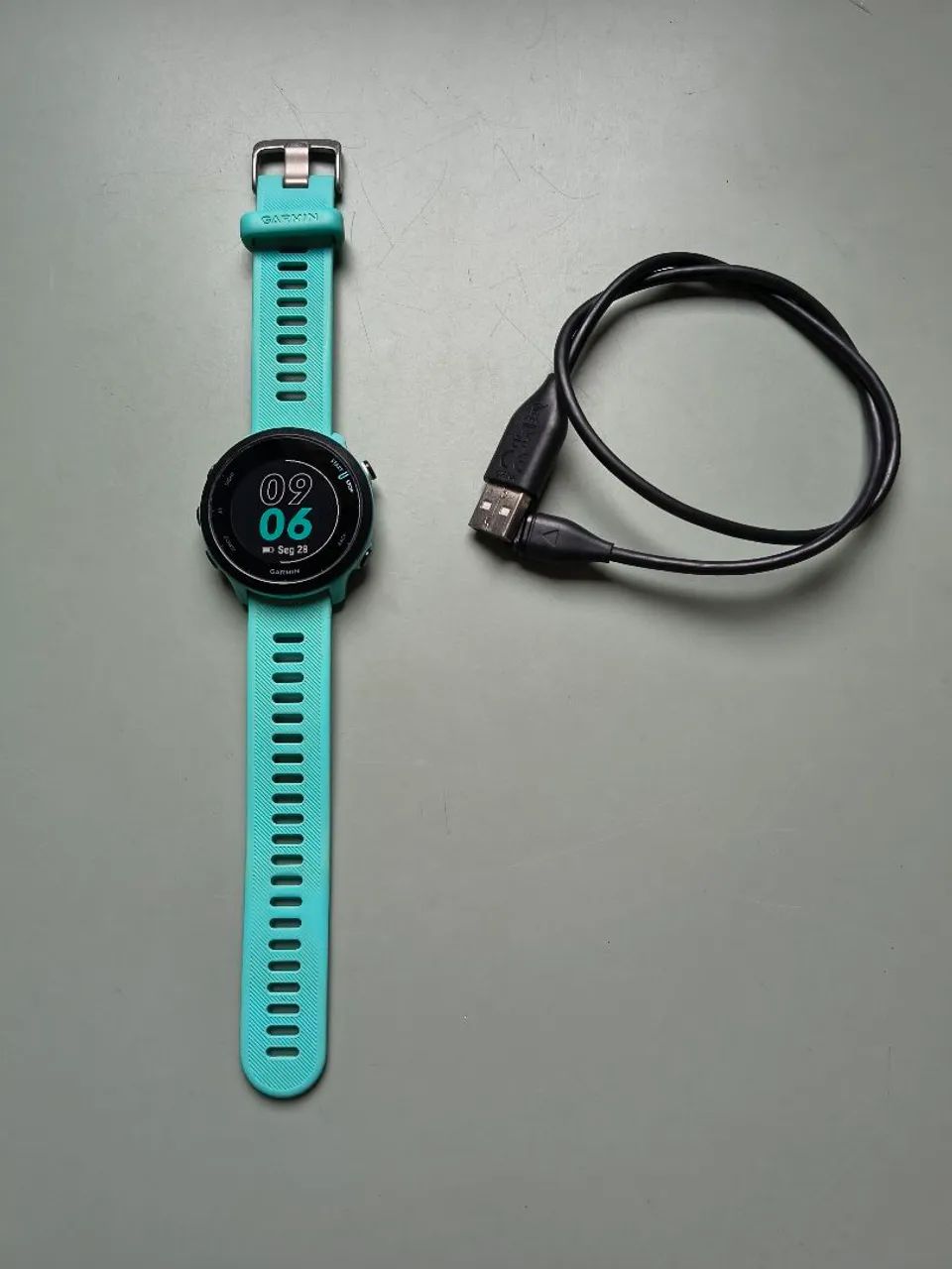 Smartwatch Garmin Forerunner 55
