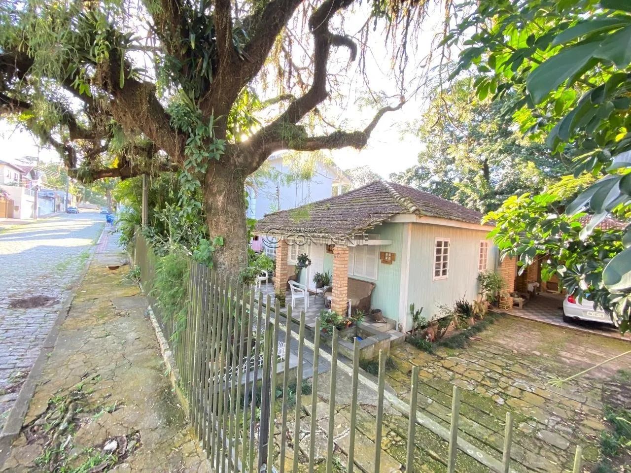 TERRENO BOM ABRIGO - Foto 3