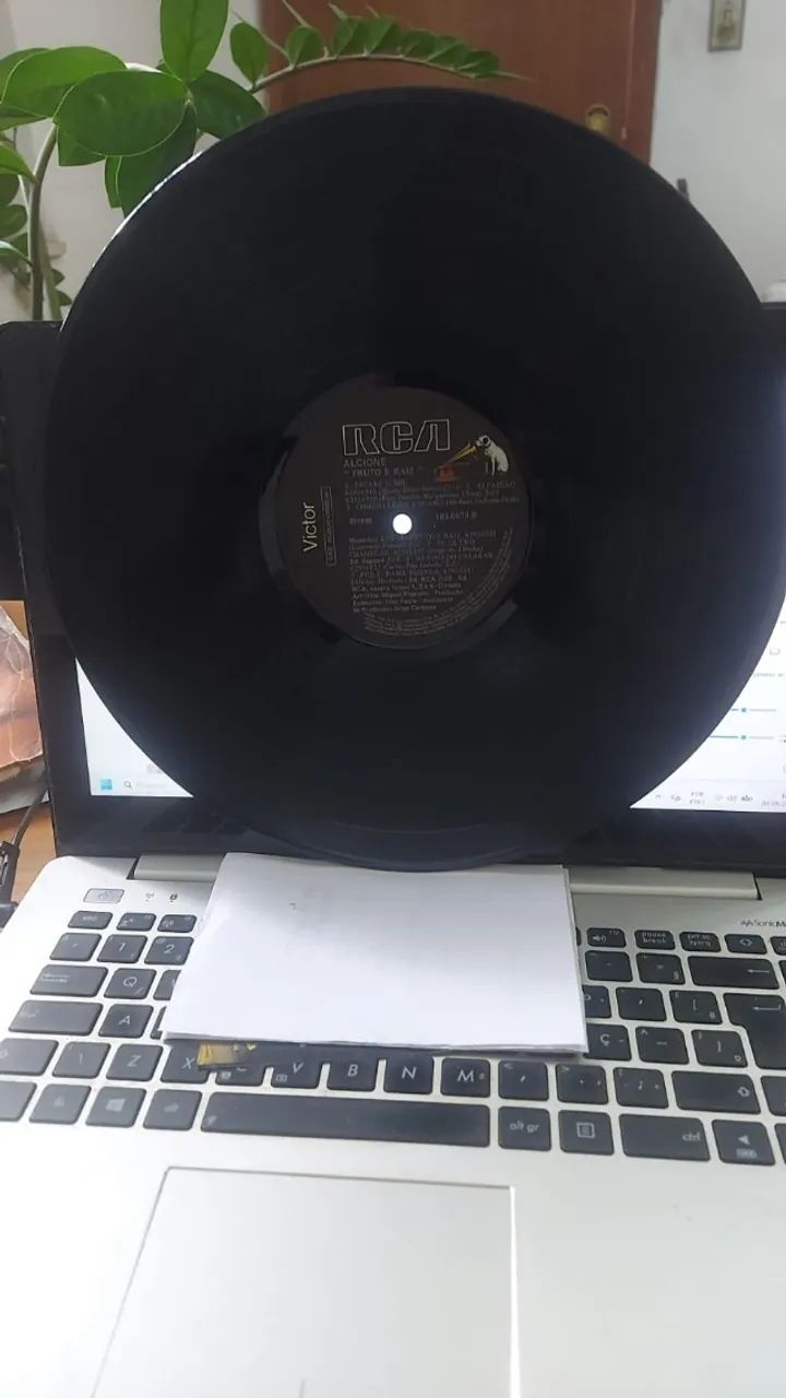 LP - Alcione - Fruto e raiz - Foto 4