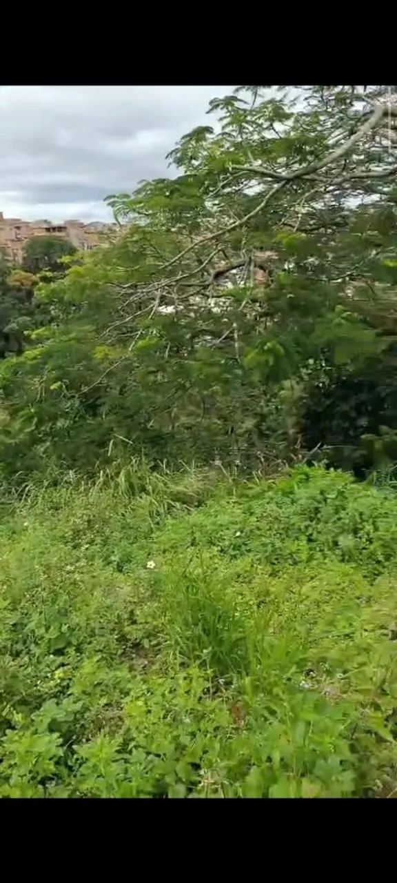 Vendo ou troco este terreno - Foto 4
