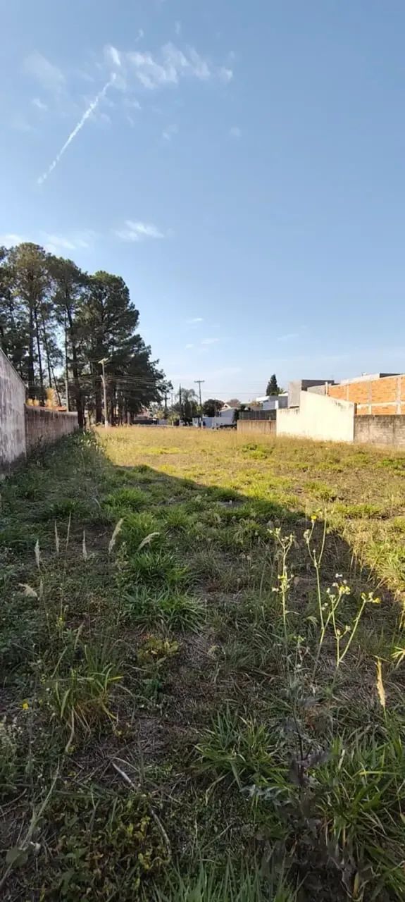 Lote no Condomínio Mont Blanc, em Cosmópolis-SP. - Foto 5