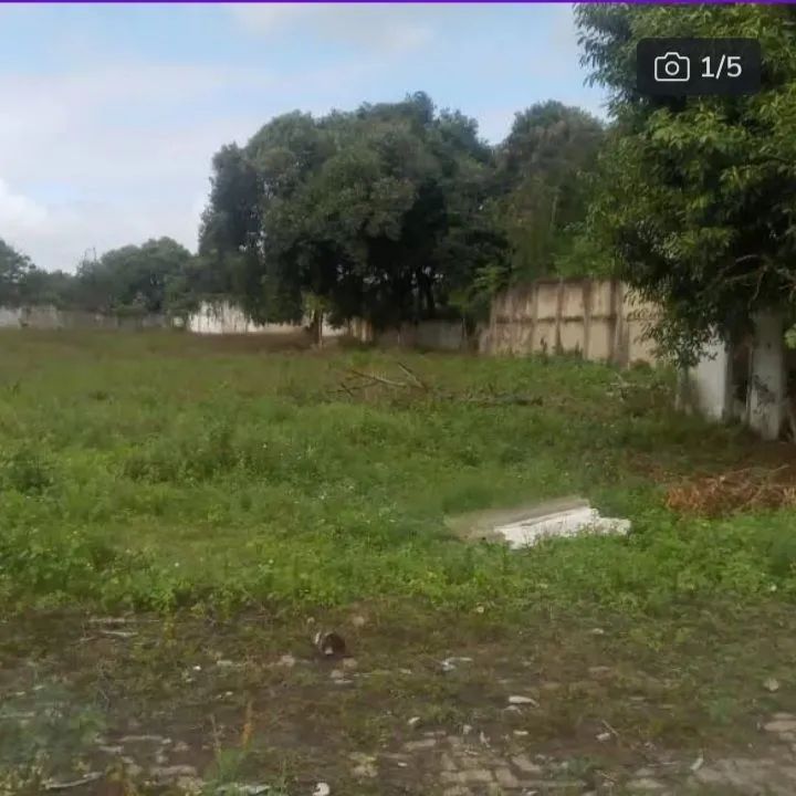 LIMPEZA DE QUINTAL E TERRENOS  - Foto 2