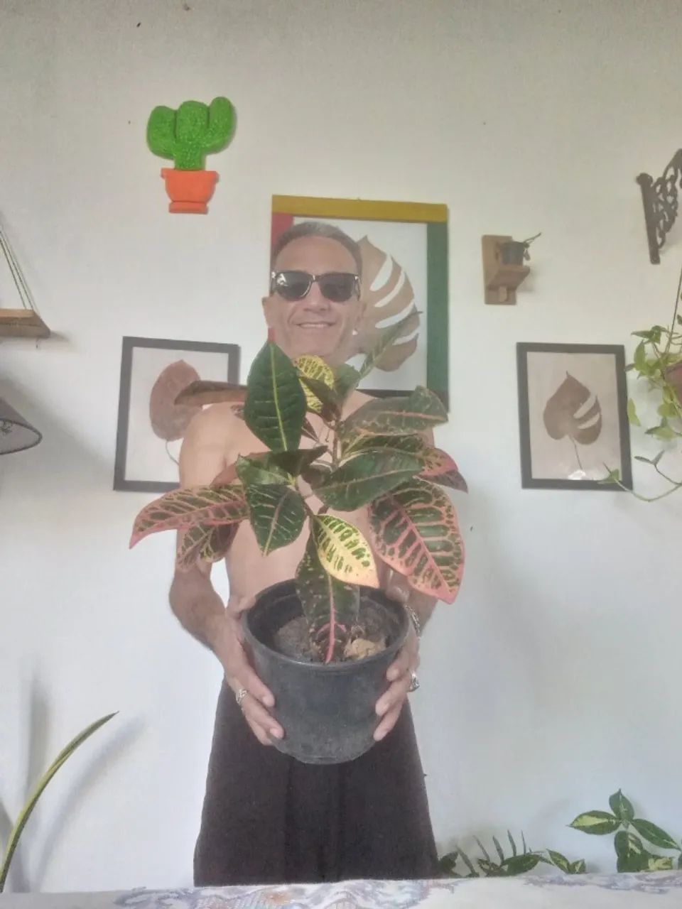 Plantas  - Foto 5