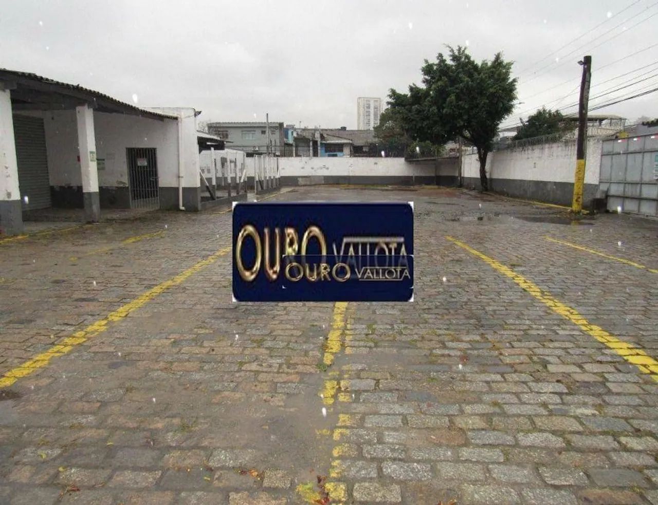 Terreno com 1.550m² - TE 220709NM - Foto 4