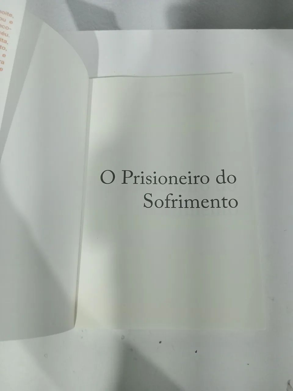 Livro em ótimo estado - Livros e revistas - Realengo, Rio de