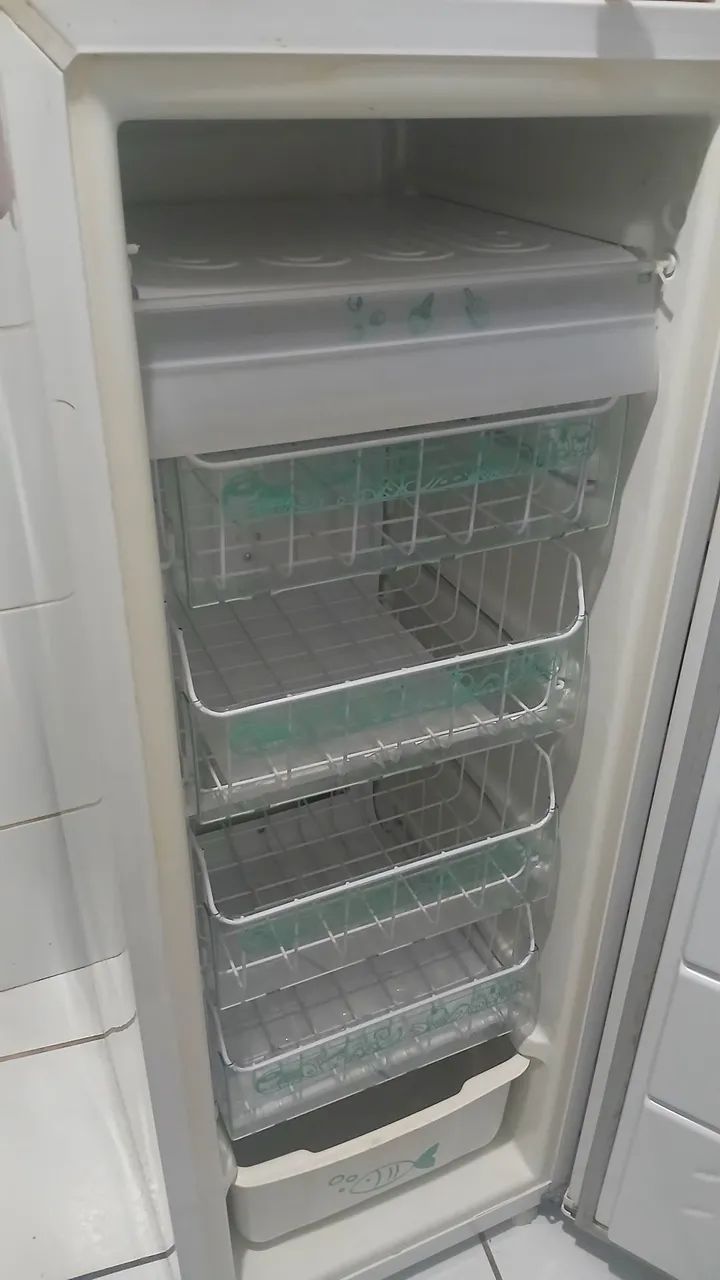 FREEZER VERTICAL CONSUL