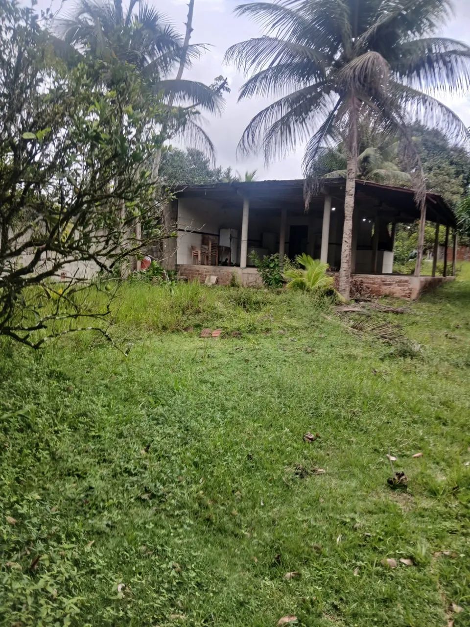 Vendesse terreno em Igarassu  - Foto 2
