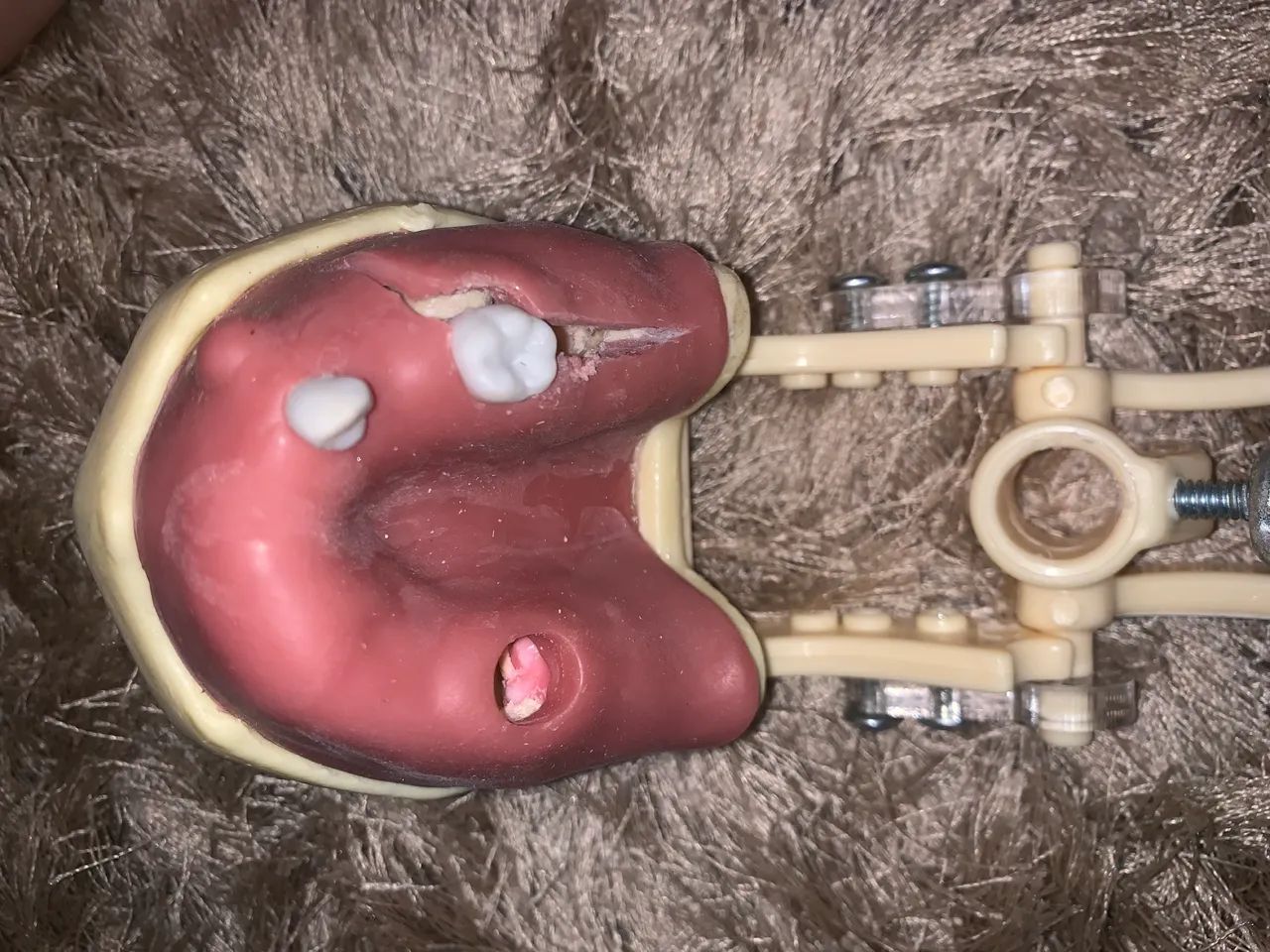 Manequim odontológico cirurgia  - Foto 2