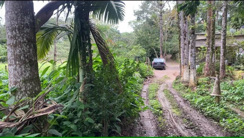 Casa 2 cômodos vendo em Juquiá SP reformada - Foto 2