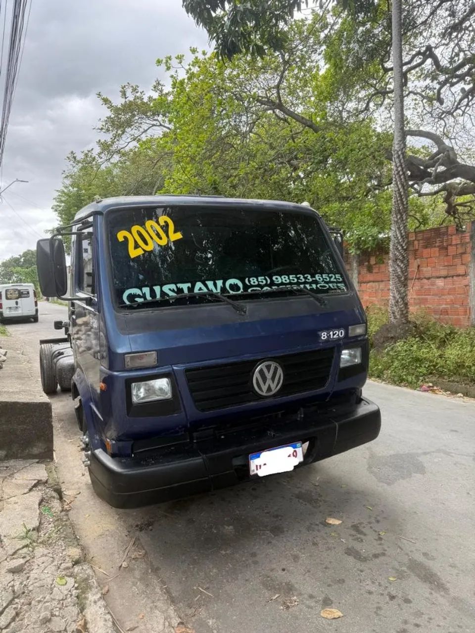 Caminhão 8 120