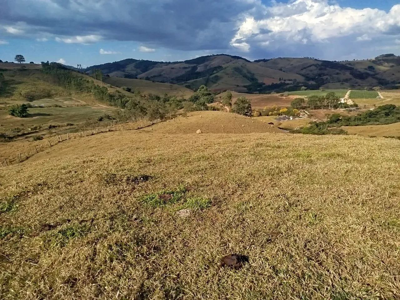 Fazenda em Oliveira /MG 65 hectares café E PLANTAÇOES DIVERSAS,, PODENDO USAR AGUA POR GRA
