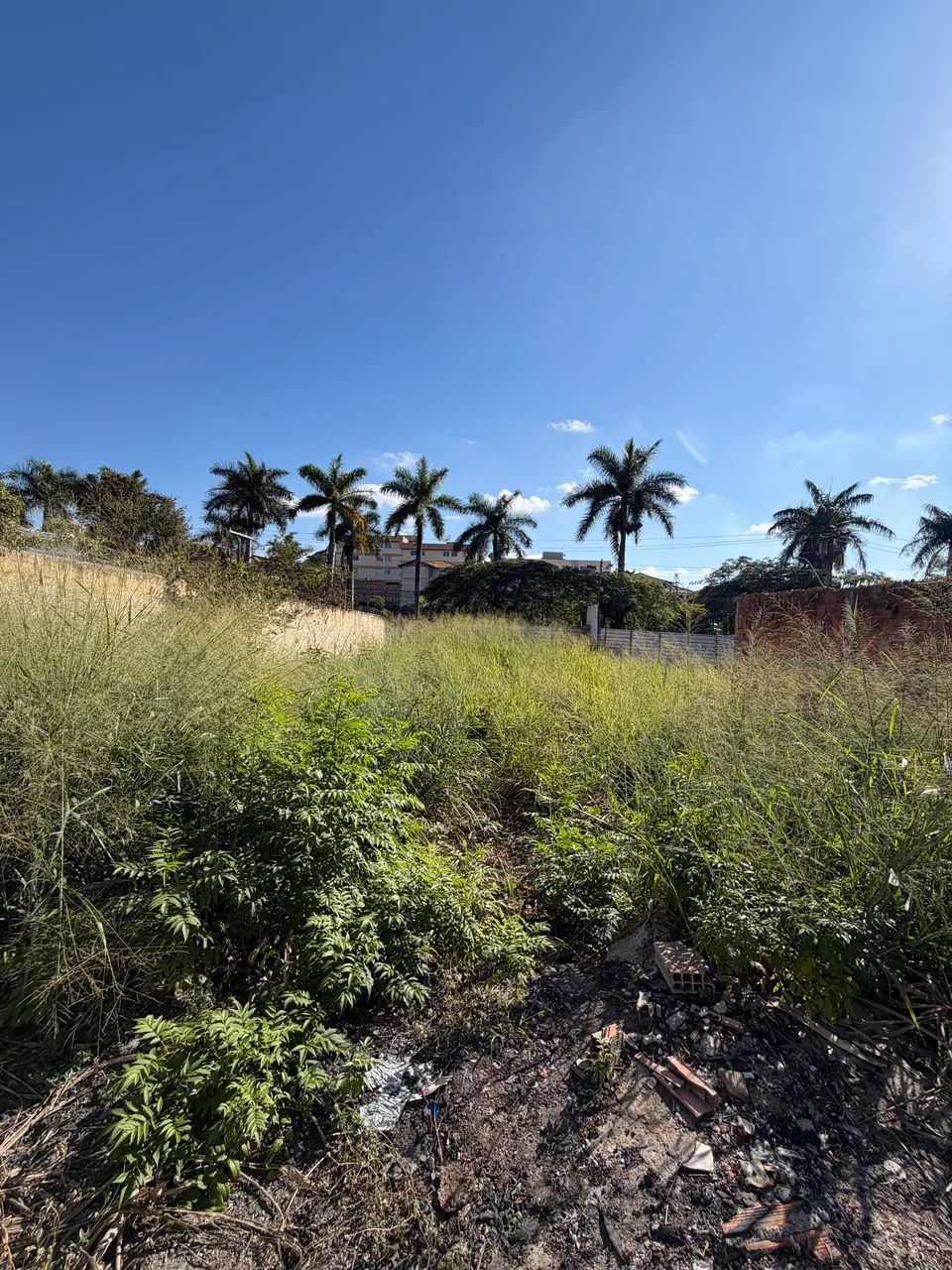 Lote plano - área comercial - Sete Lagoas  - Foto 4