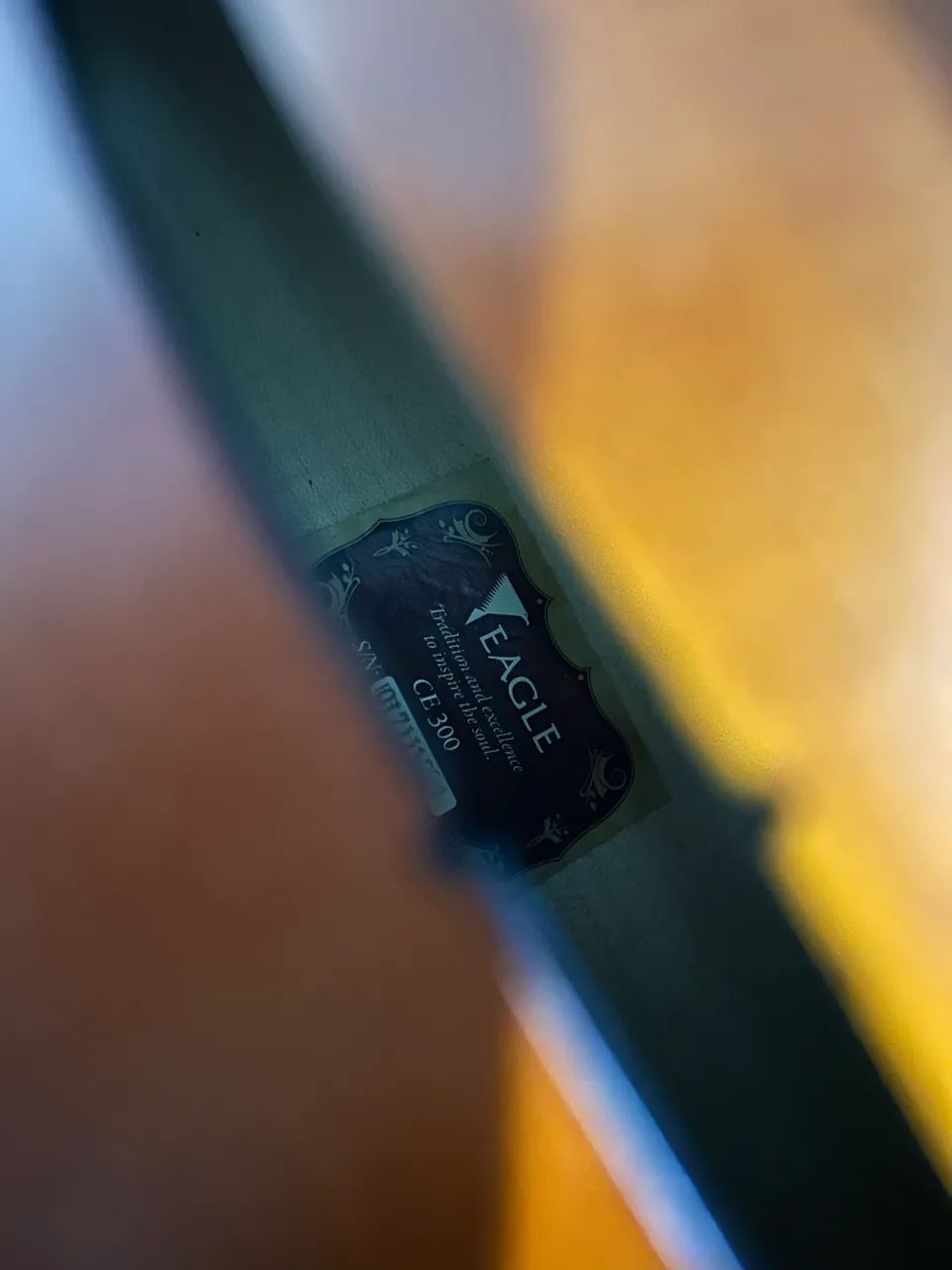 Violoncelo Eagle CE 300 4/4 - Foto 5