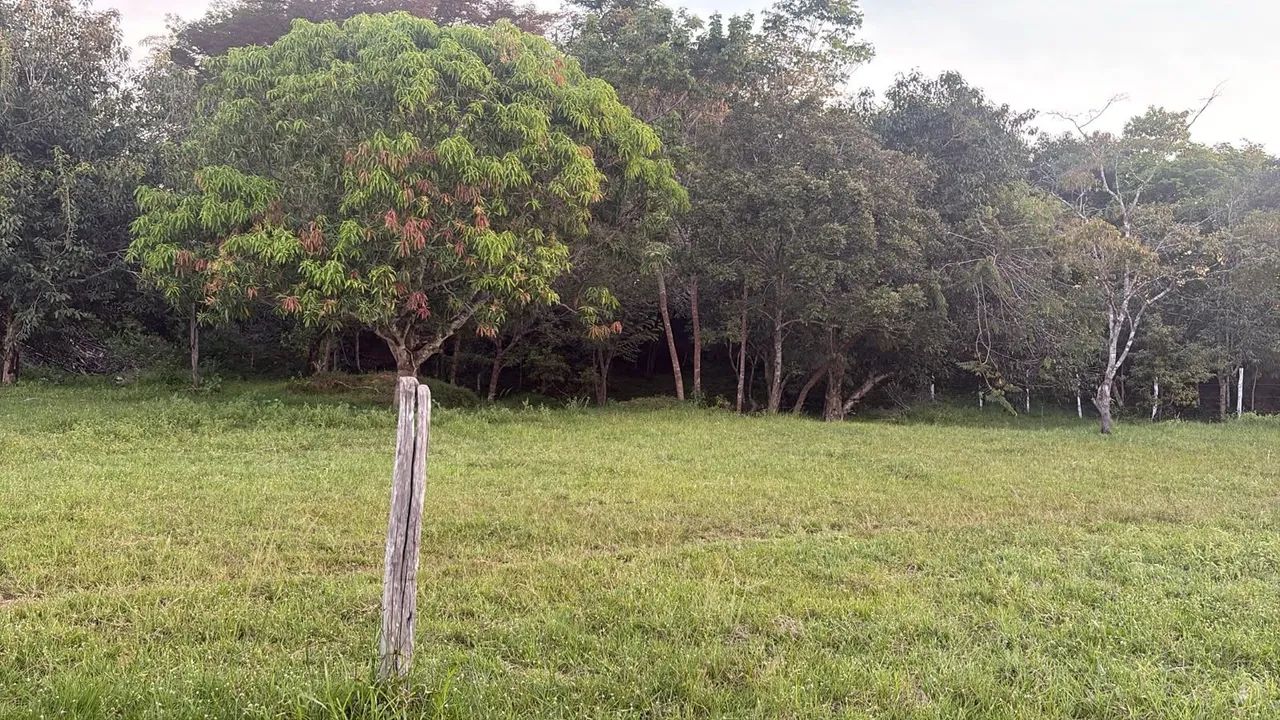 Terreno em Parintins/Am - Foto 3