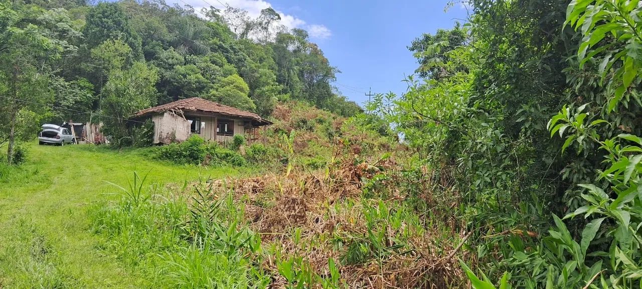 SÍTIO À VENDA EM ANTONINA - PR - Foto 4
