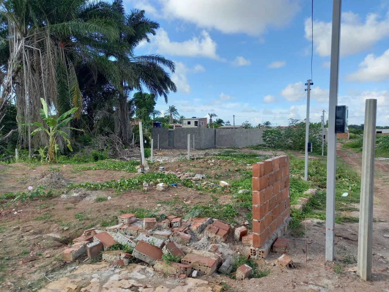 Terreno no janga - Foto 3