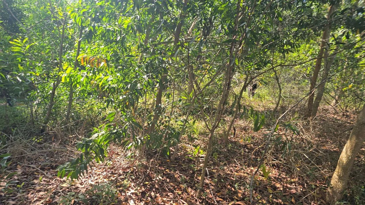 Lote Guarapari, escriturados registrados, pego carro <br>Troco, pa <br>Aceito oferta e proposta  - Foto 5