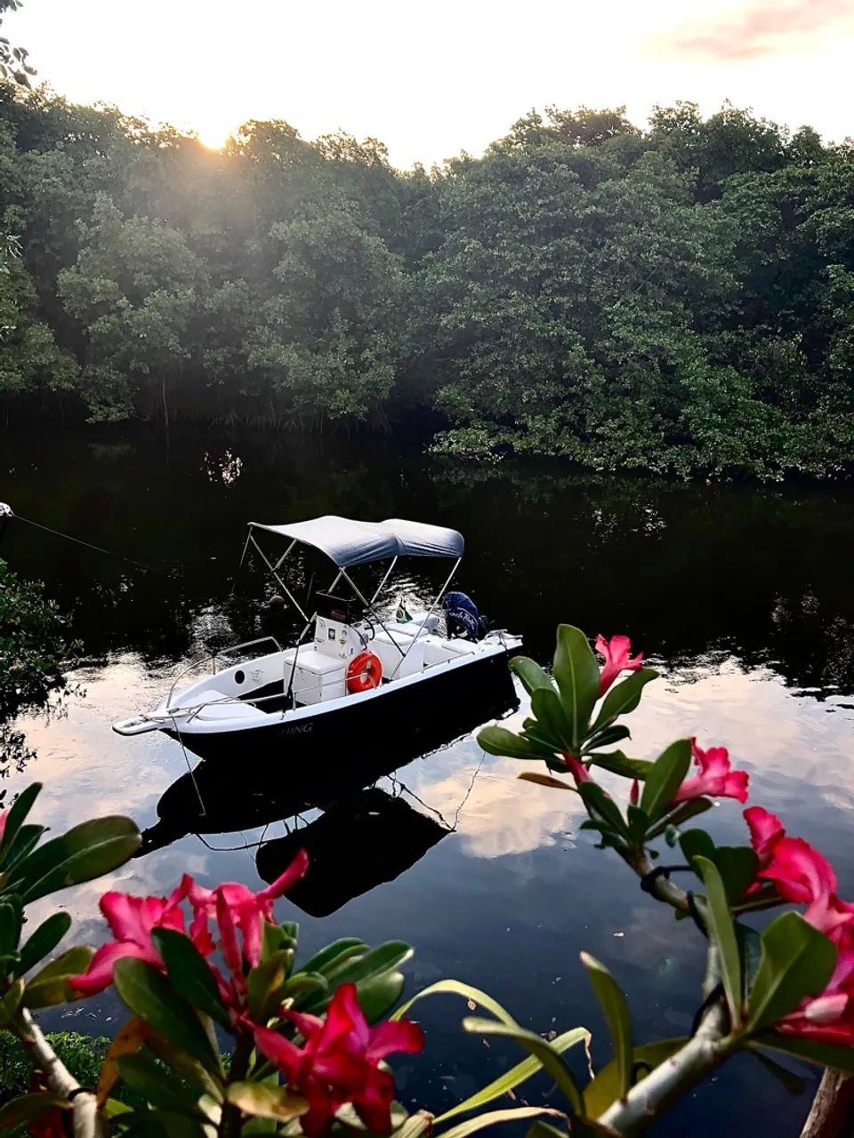 Barco motor 60HP Evinrude E-TEC - Foto 2