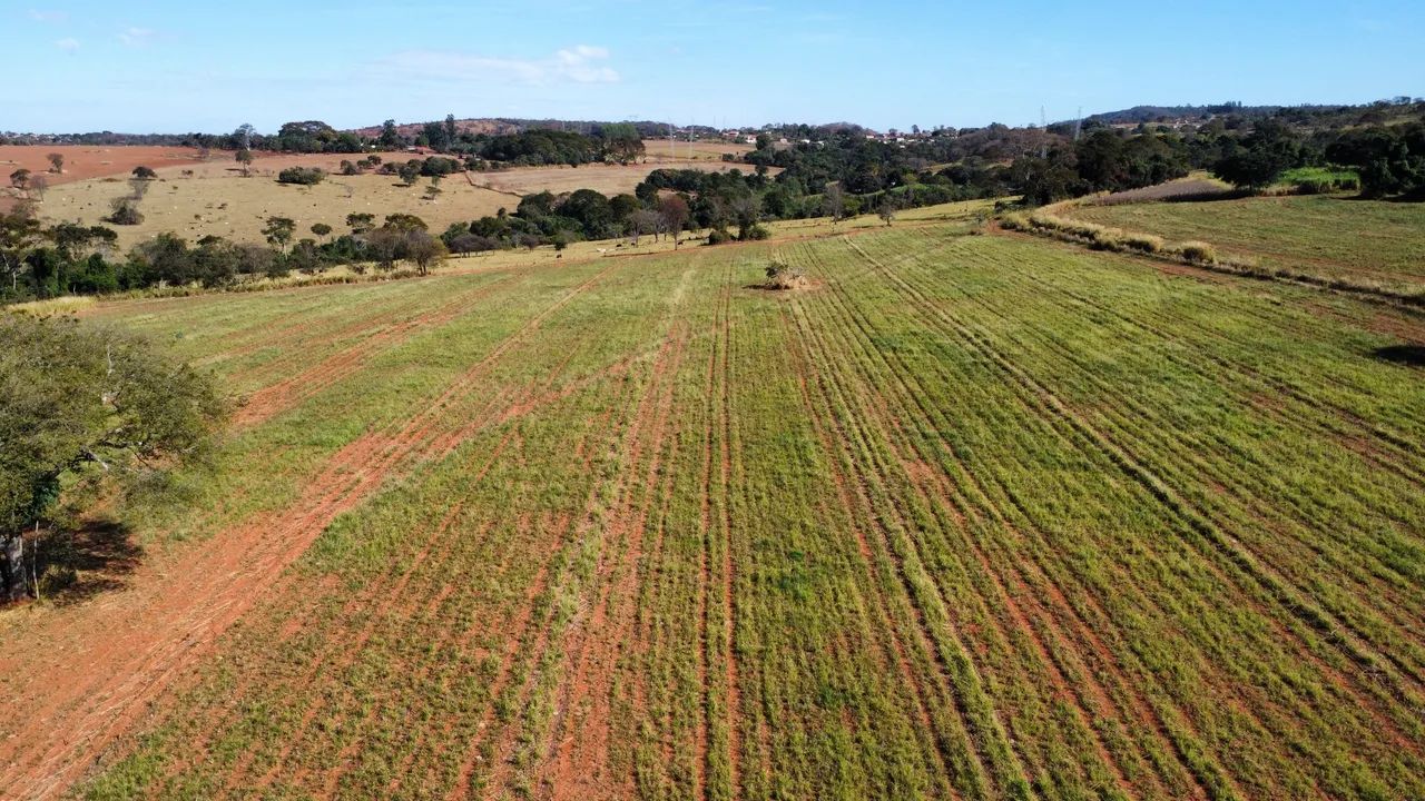 Sítio 7.3 Alqueires a 32 km de Goiânia  - Foto 2