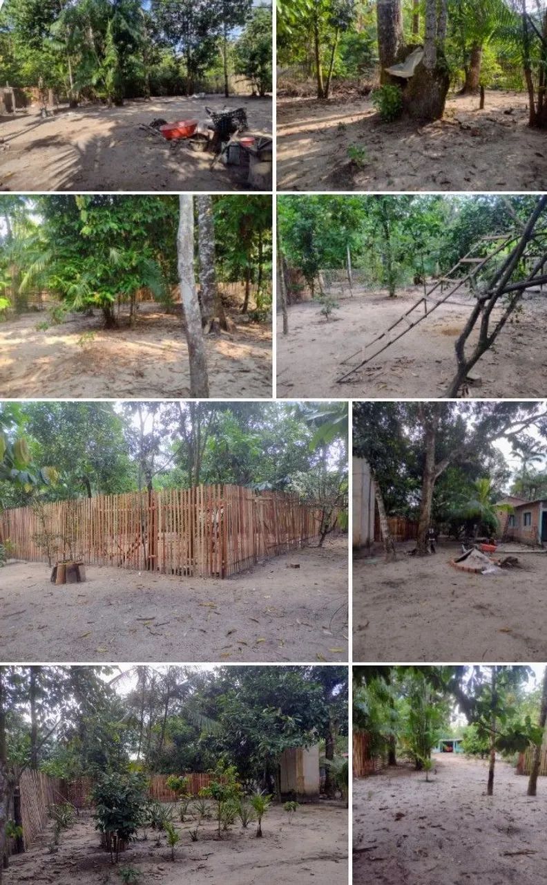 Sitio por R$ 180.000 ( Cento e oitenta mil reais) - Foto 5
