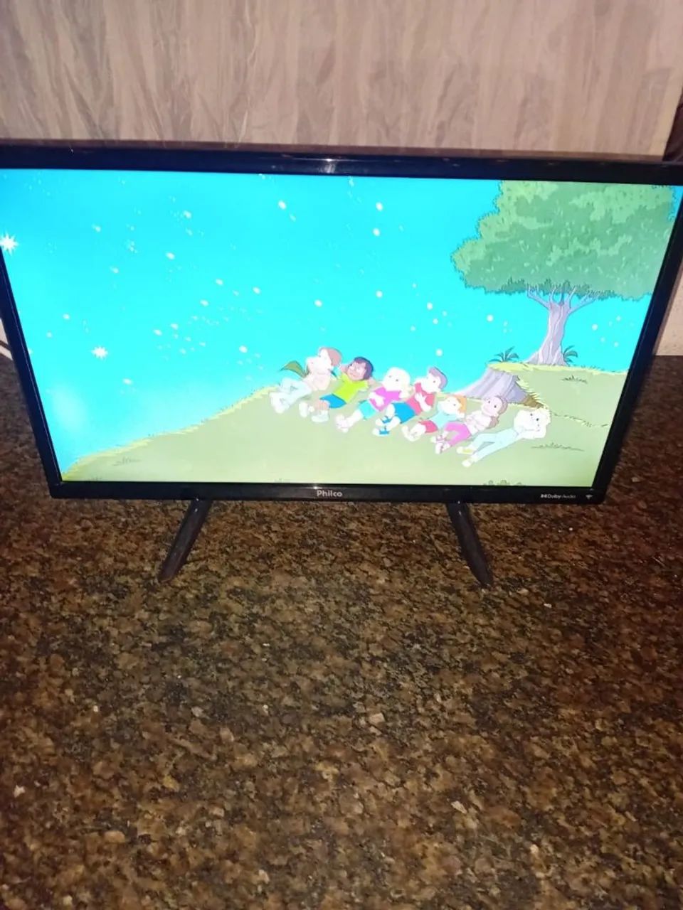 Vendo uma TV philco semi nova