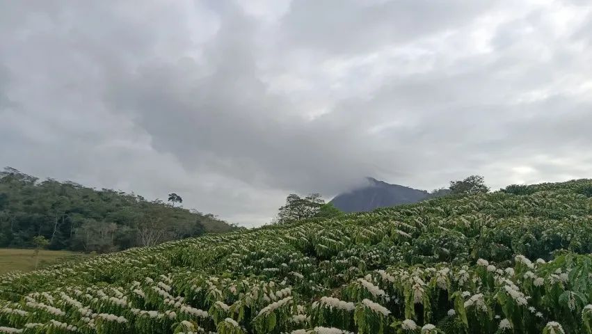 Terra com casa a venda  - Foto 3