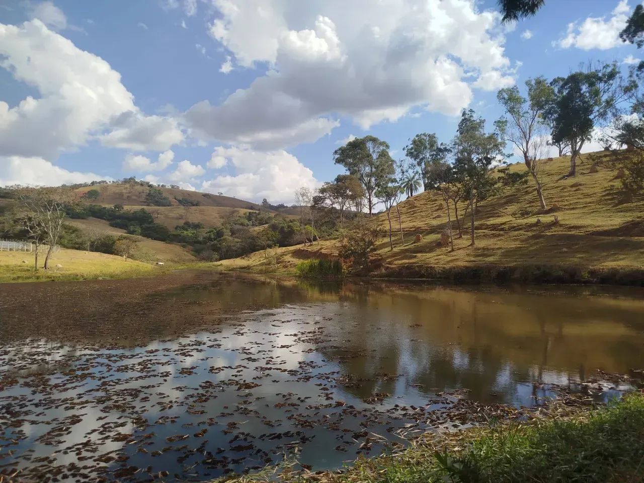Fazenda em Oliveira /MG 65 hectares café E PLANTAÇOES DIVERSAS,, PODENDO USAR AGUA POR GRA - Foto 19