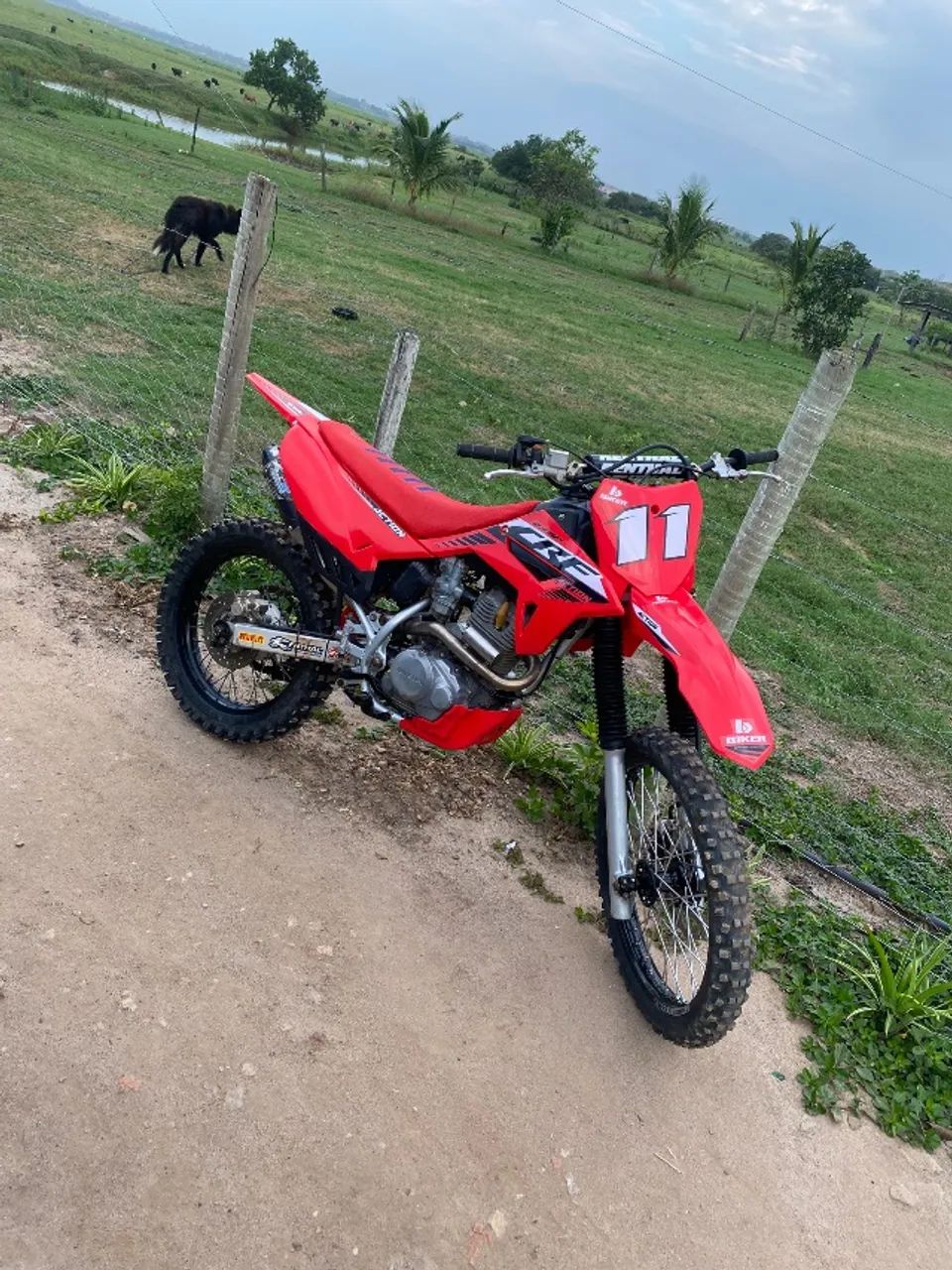 Oportunidade, crf 230 