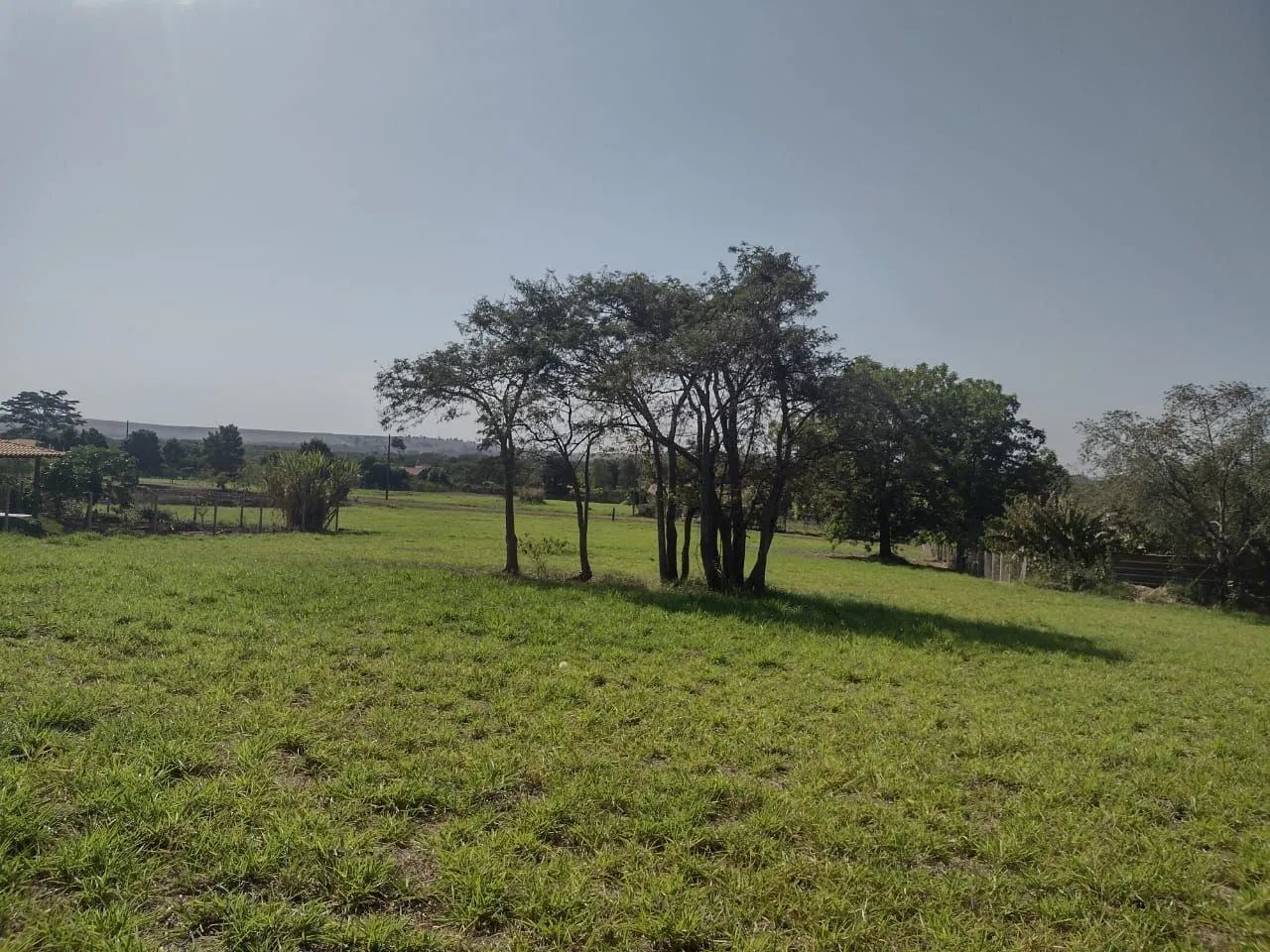 VENDO CHÁCARA EM SERTANÓPOLIS  - Foto 3