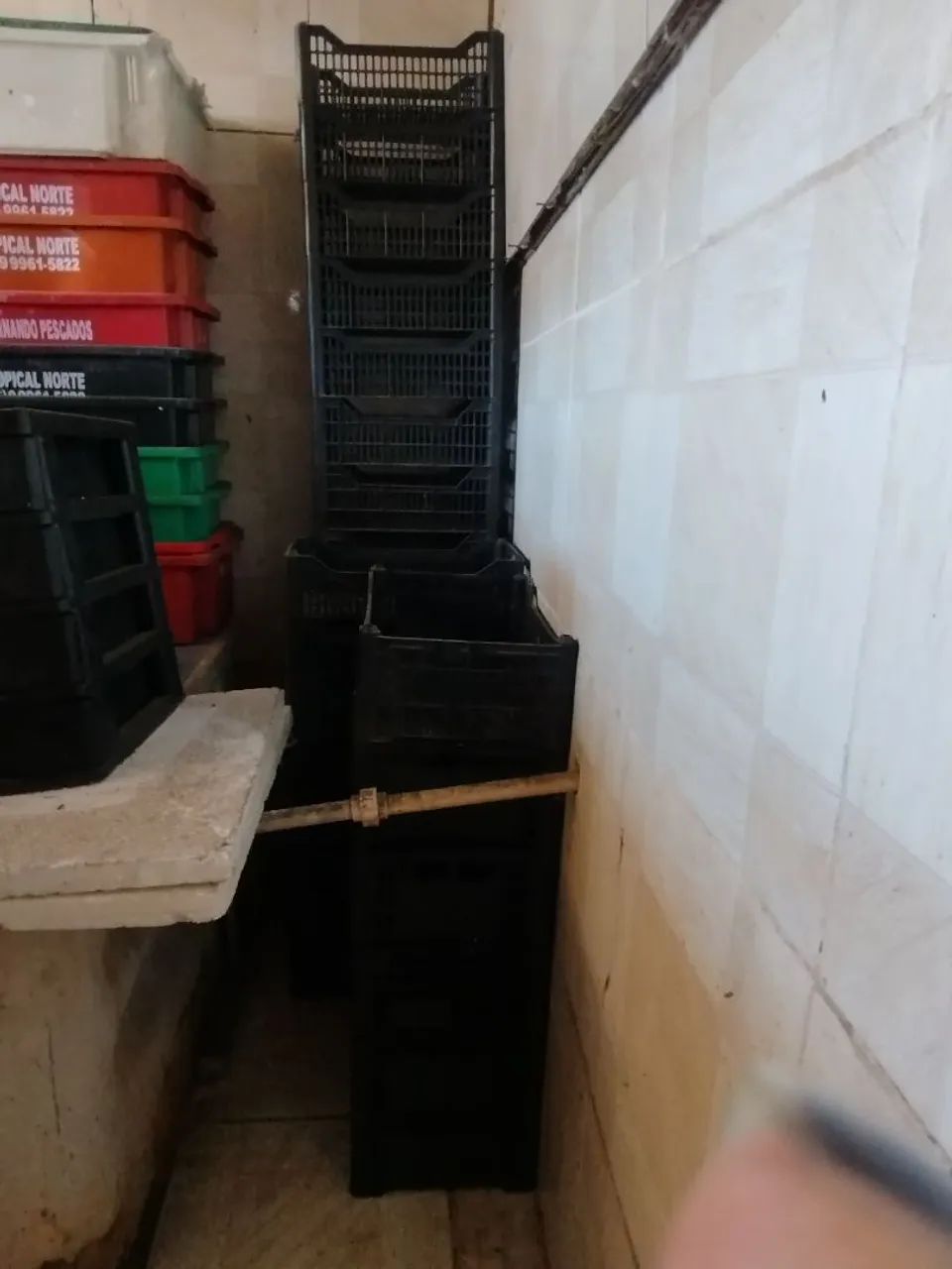 Caixa plástica Hortifruti 