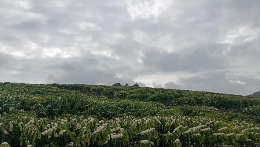 Terra com casa a venda 