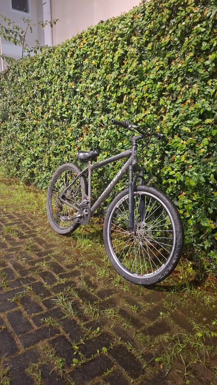 Bicicleta absolute aro 29