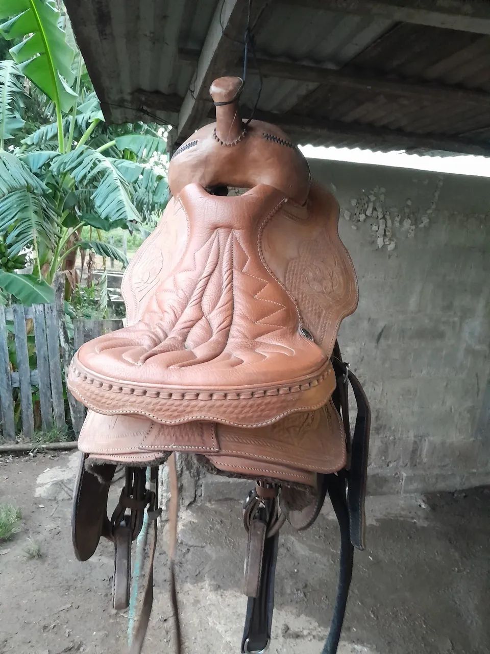 Cela semi nova *  - Foto 3