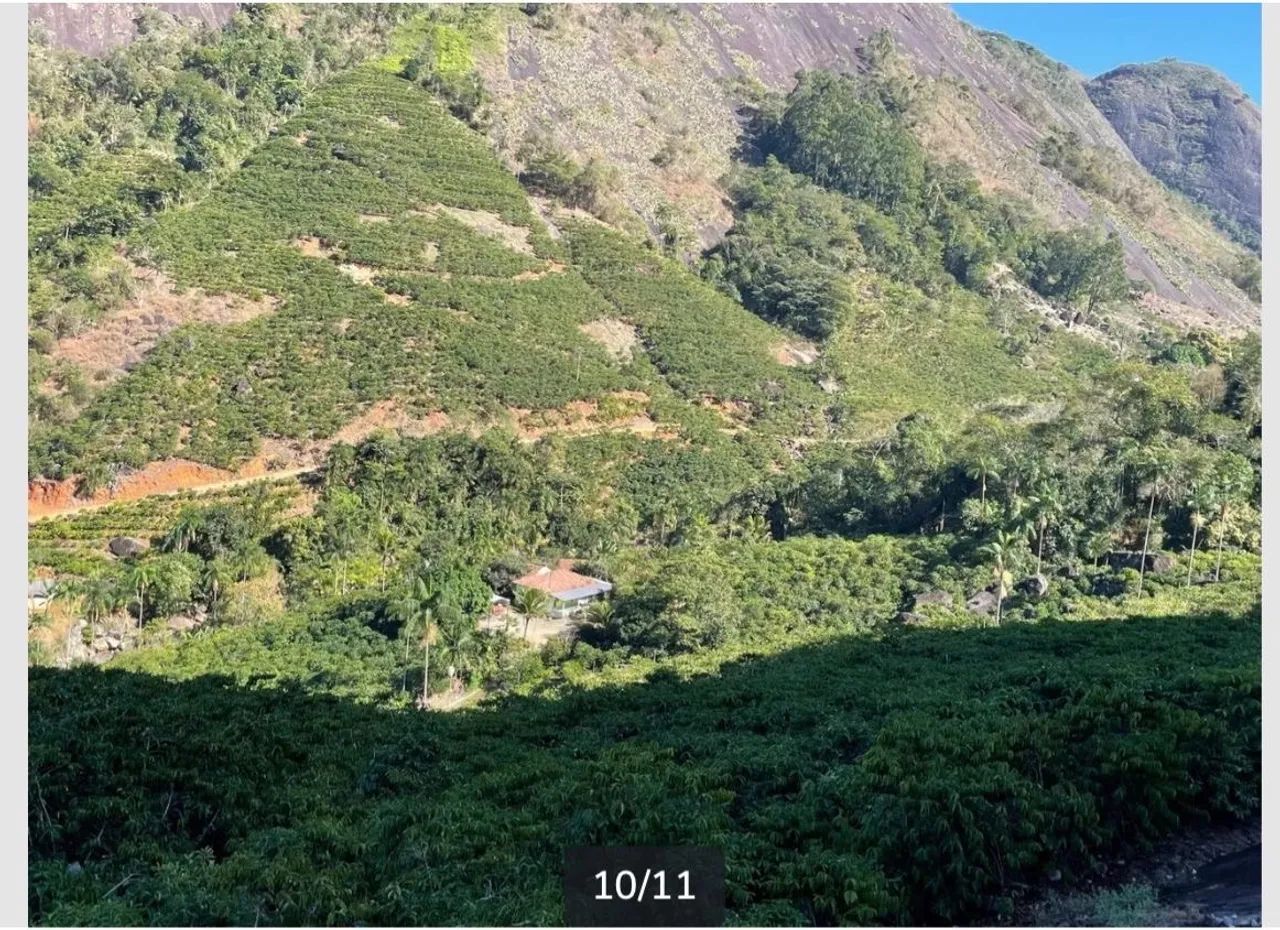 Sítio com 13.000 pés de café c casa - Foto 2