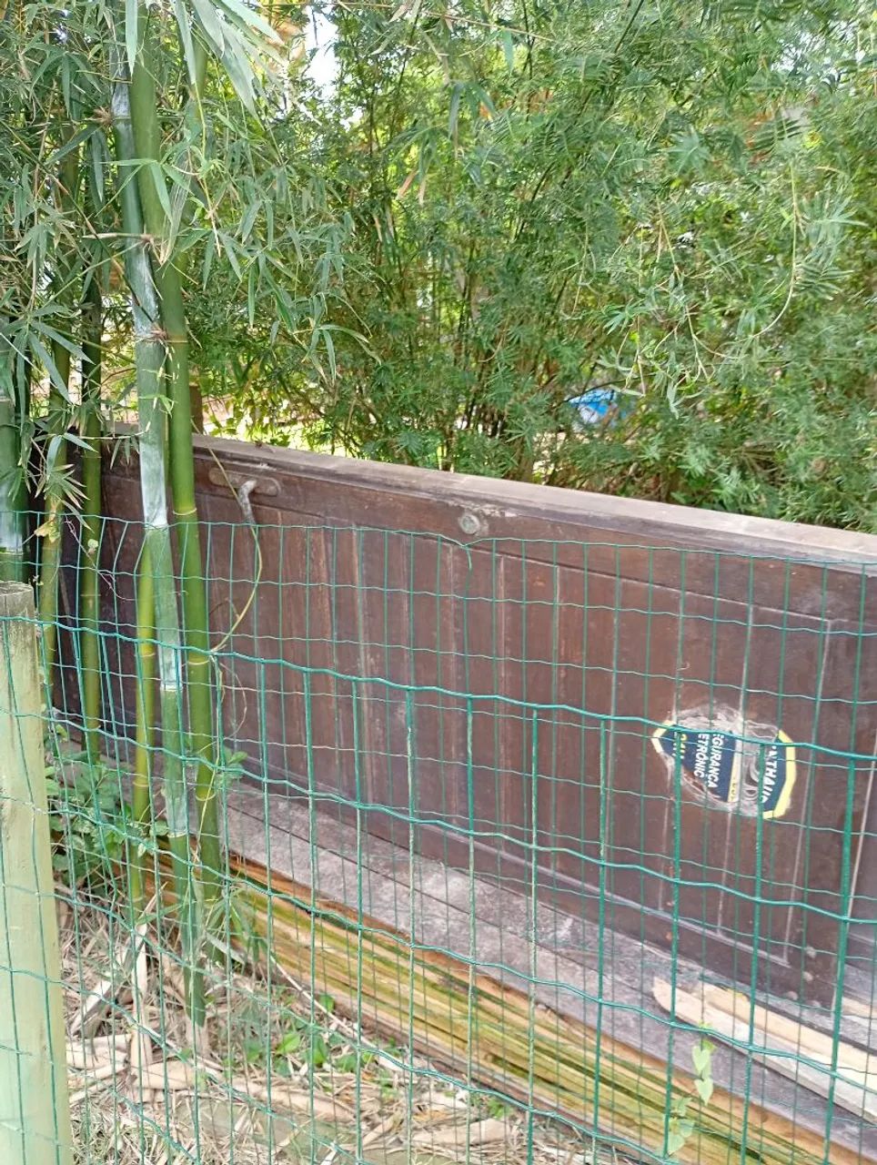 Vendo porta madeira maciça  - Foto 2